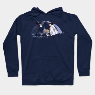 Low Poly Hippo in Water Hoodie